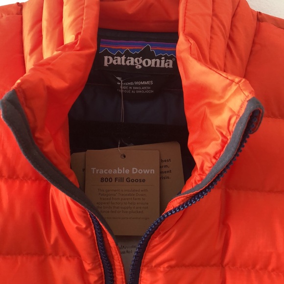 NWT Patagonia down sweater lightweight 800-full goose down zip up puffer jacket - Picture 8 of 13